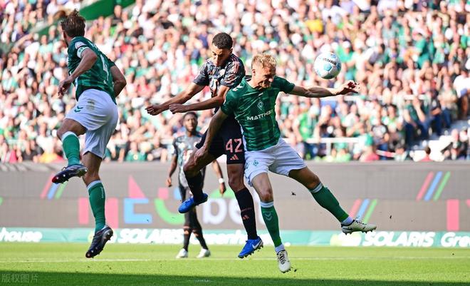 关于霍芬海姆门将受伤下场,影响球队稳定性的信息 关于霍芬海姆门将受伤下场,影响球队稳定性的信息