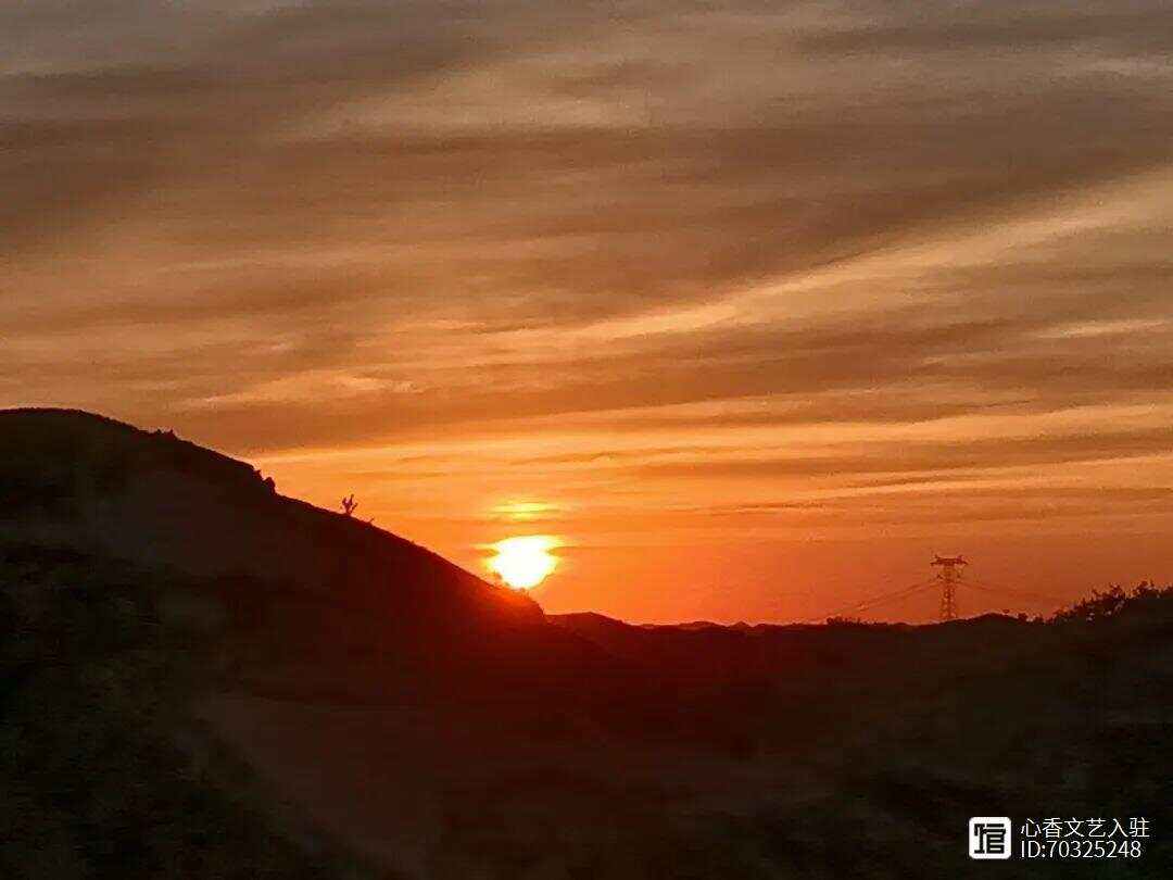 九游体育官网-竞技场上悍然斗志，选手们展现出色实力的简单介绍