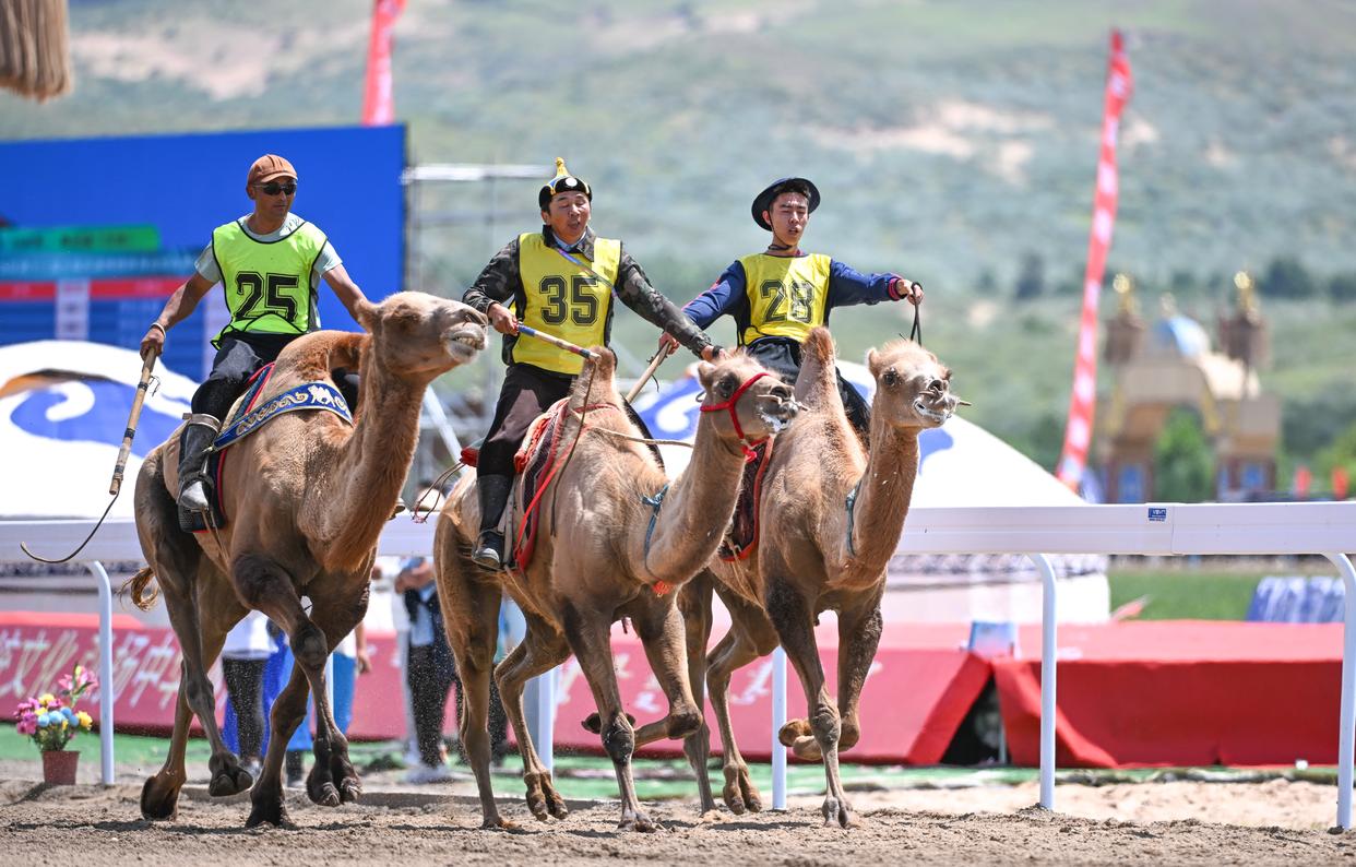 内蒙古队在比赛中展现出强大的实力，轻松获胜